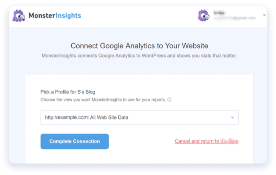 MonsterInsights complete connection